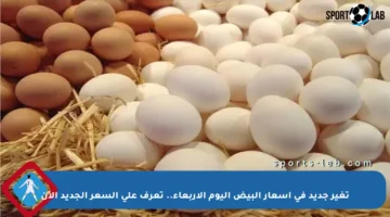 تغير جديد في أسعار البيض اليوم الأربعاء.. تعرف على السعر الجديد الآن